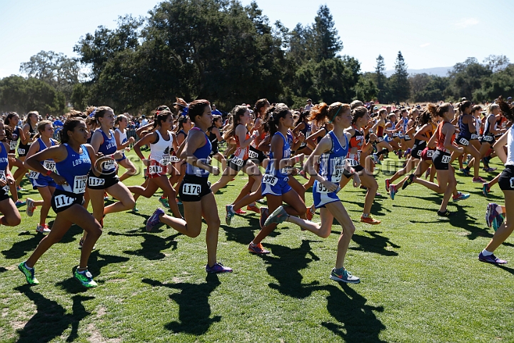 2015SIxcHSSeeded-173.JPG - 2015 Stanford Cross Country Invitational, September 26, Stanford Golf Course, Stanford, California.